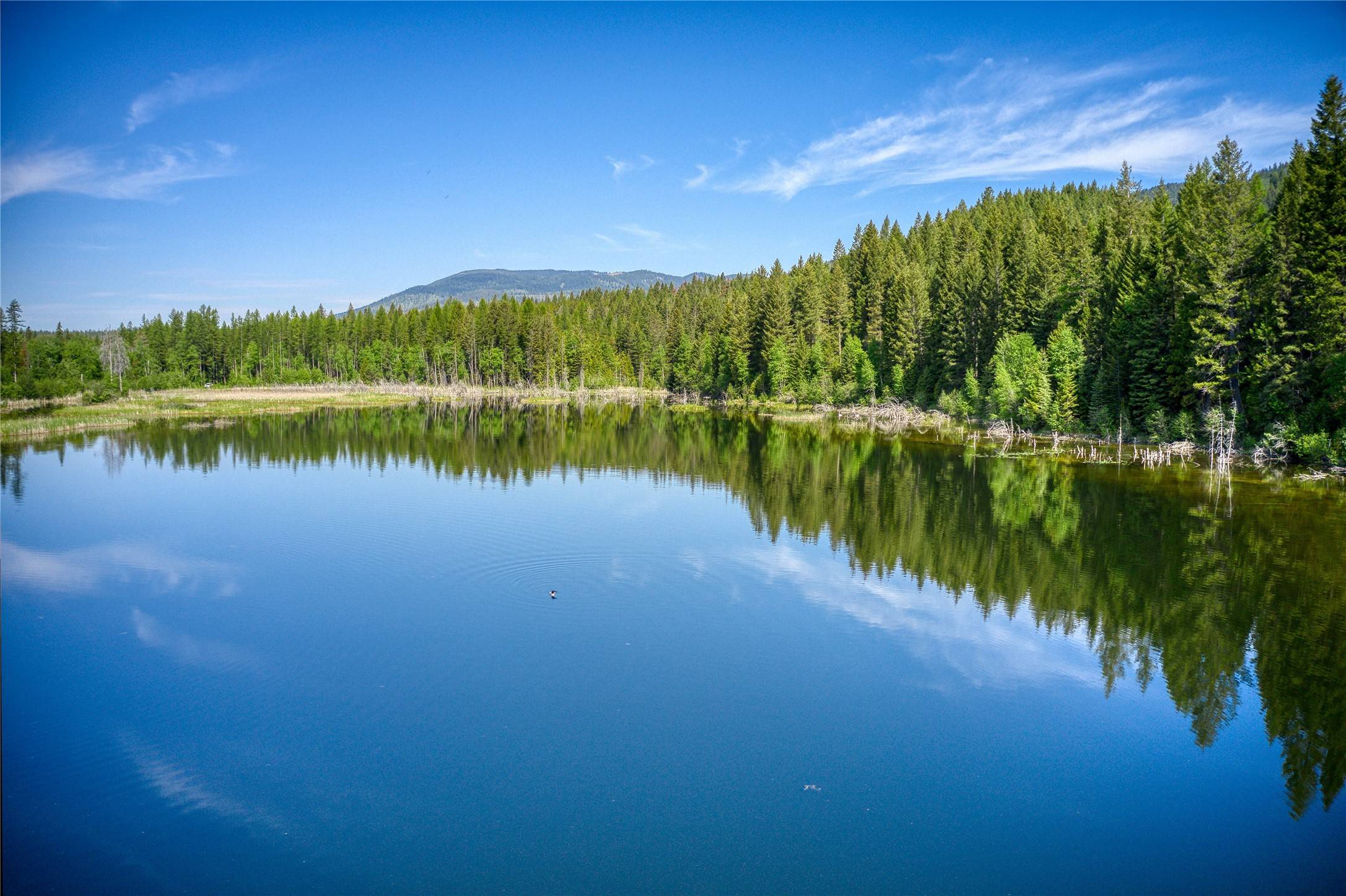 Columbia Falls, MT 59912,2280 North Fork RD