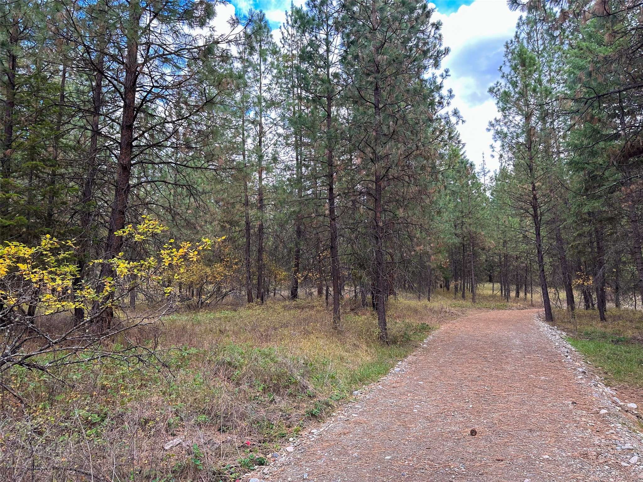 Nhn Farlan LN, Thompson Falls, MT 59873