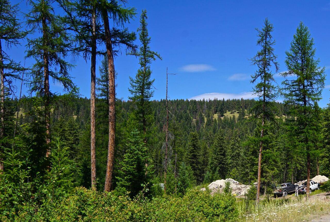 Rexford, MT 59930,202 Angus DR