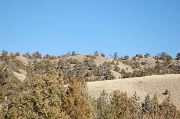 Three Forks, MT 59752,535-A Wheatfield RD