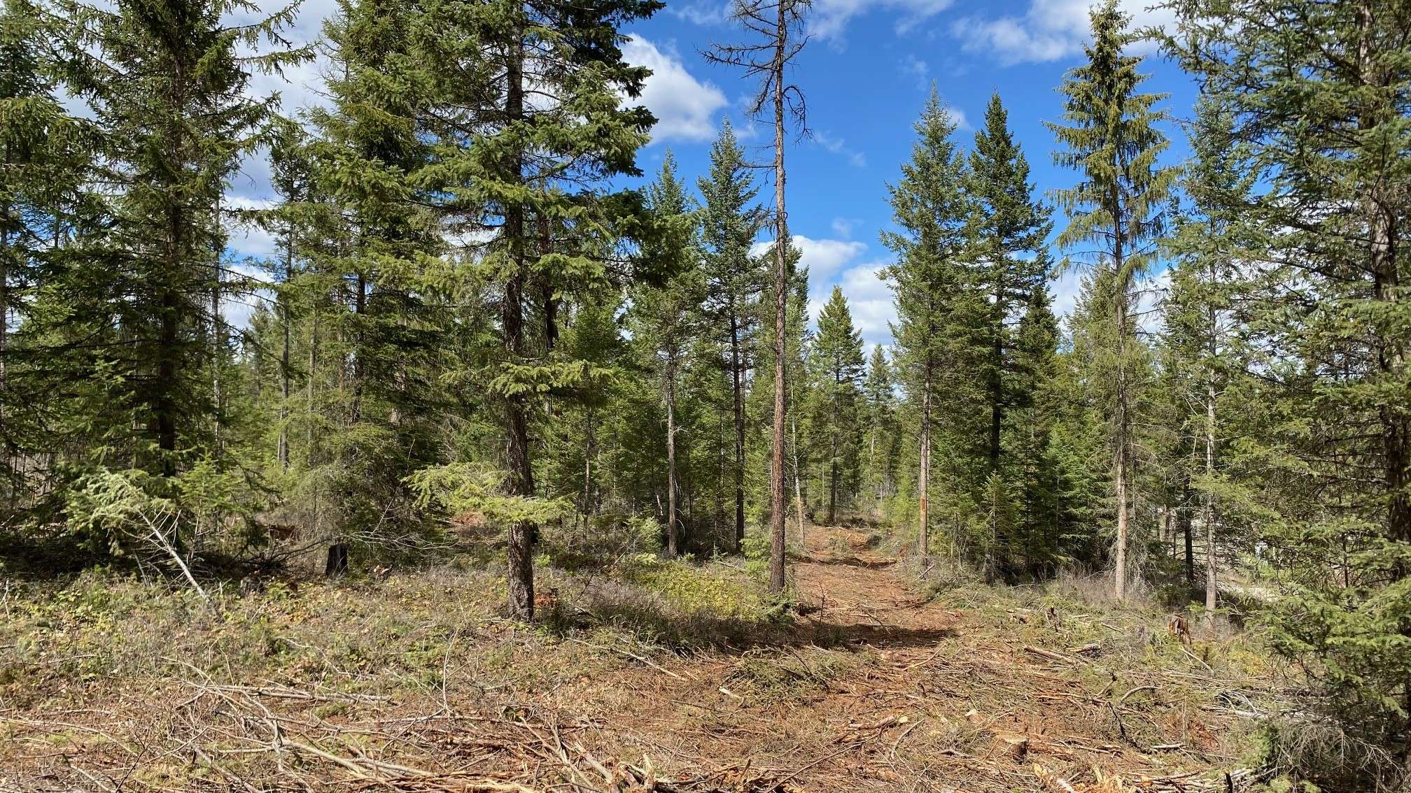 Whitefish, MT 59937,NHN Soaring Eagle DR