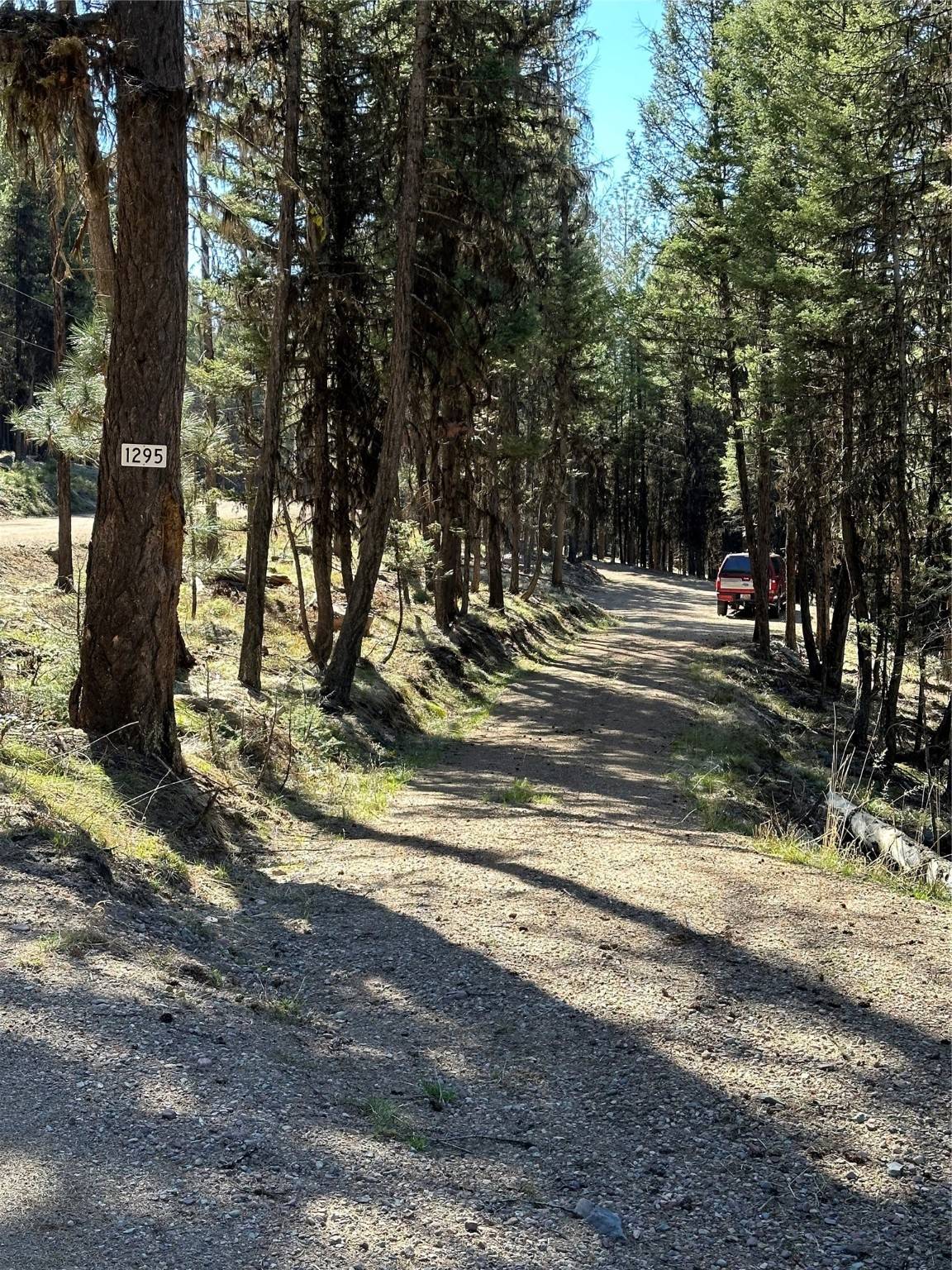 Seeley Lake, MT 59868,1295 Stage Coach DR