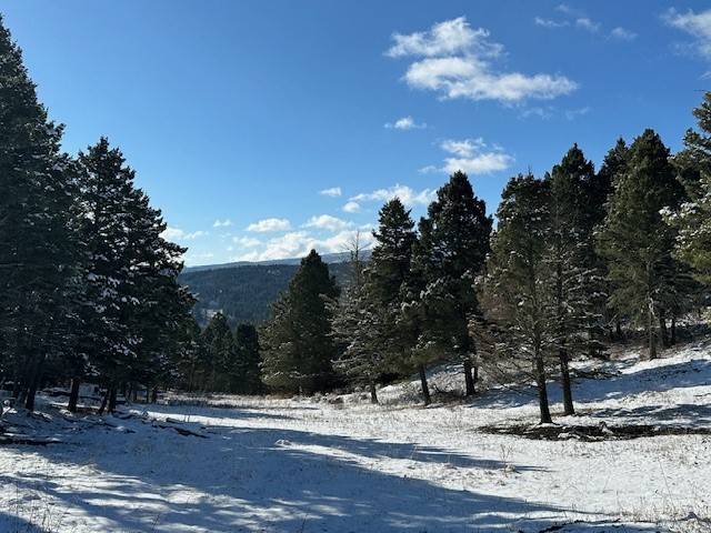 Bozeman, MT 59715,14850 Pony Creek RD