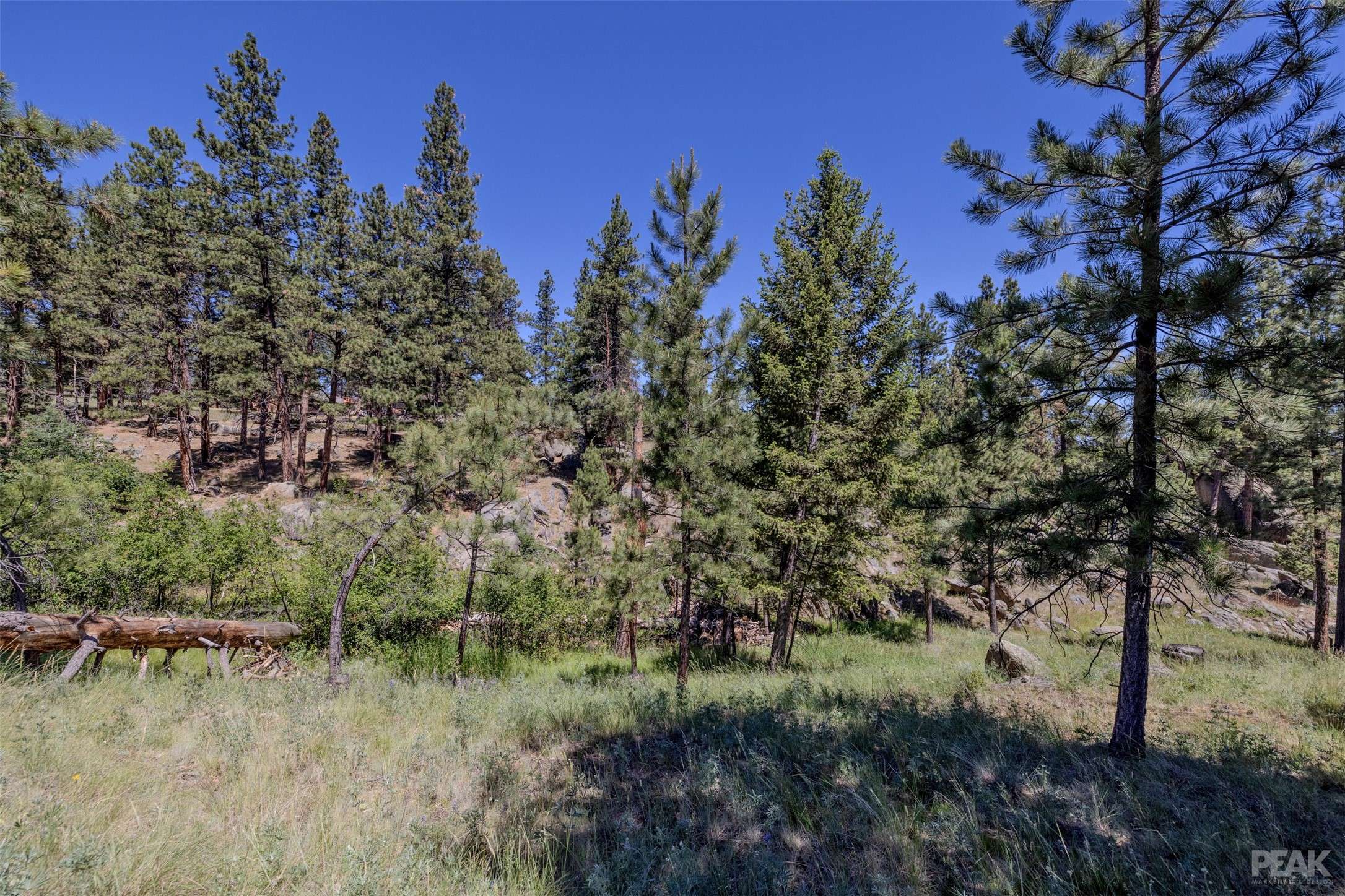 Clancy, MT 59634,2 Middle Loop RD