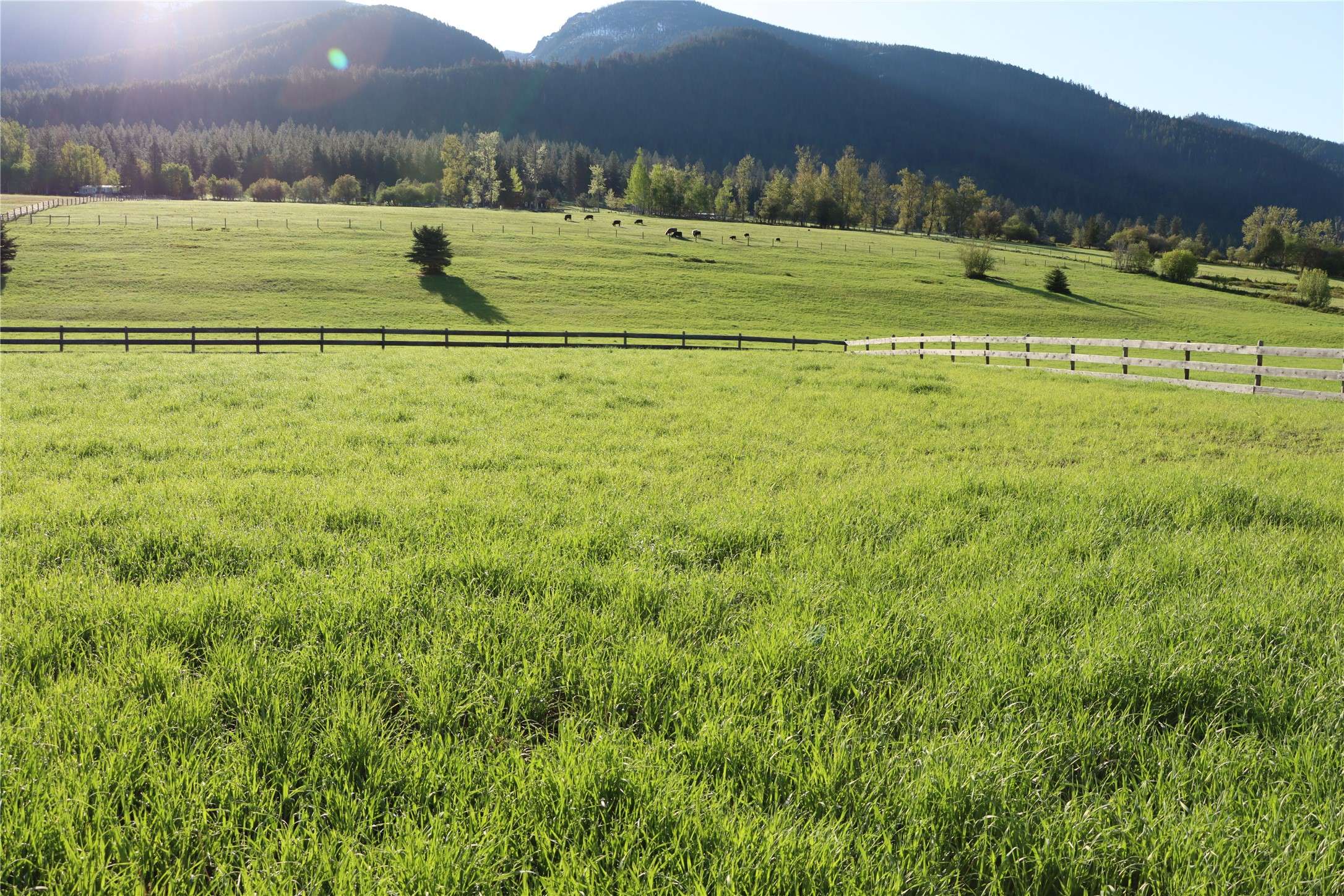 Polson, MT 59860,41698 Canal RD