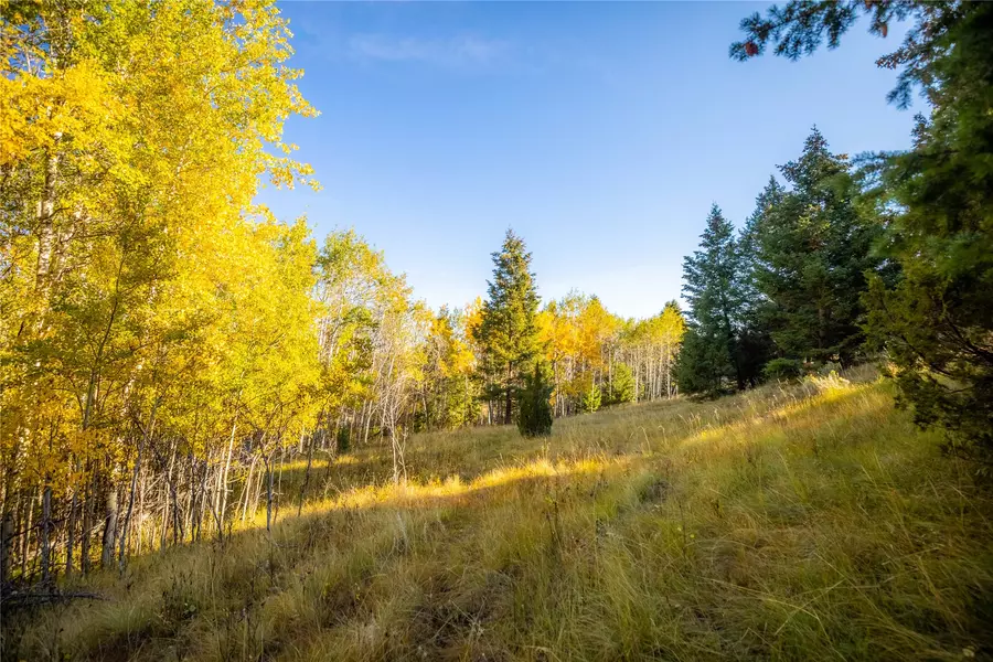 119120 Lone Pine Gulch RD, Ramsay, MT 59748