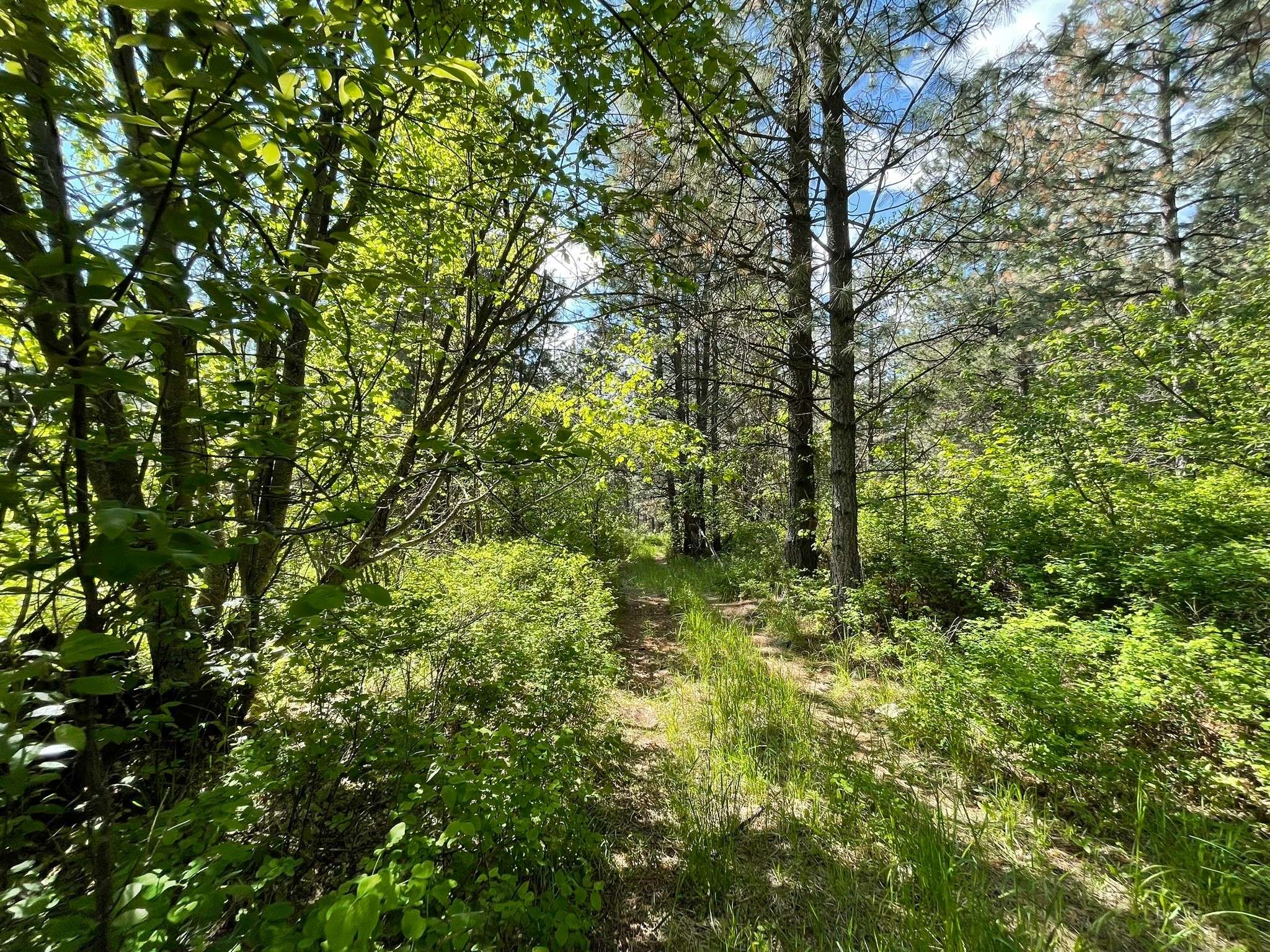 Ronan, MT 59864,NHN Addy LN