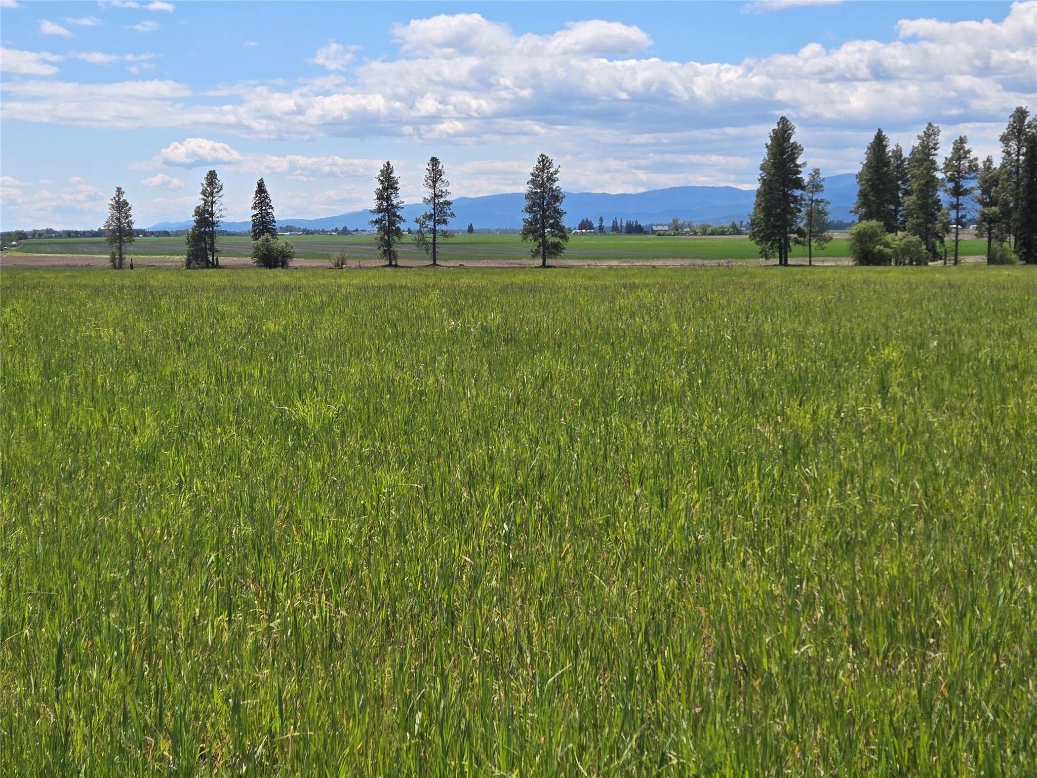 175 Spruce Meadows LN, Kalispell, MT 59901