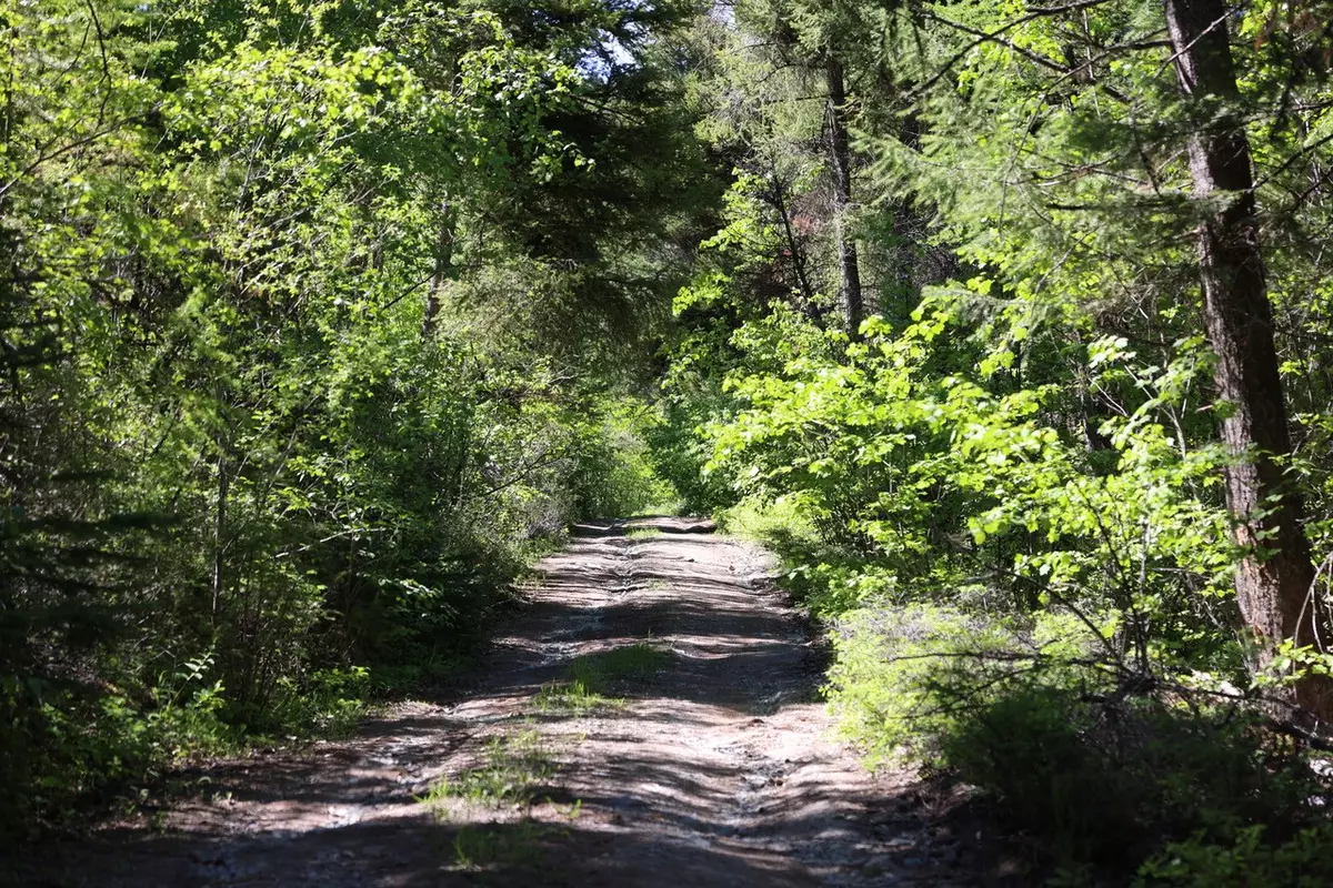 Kalispell, MT 59901,NHN Patrick Creek RD