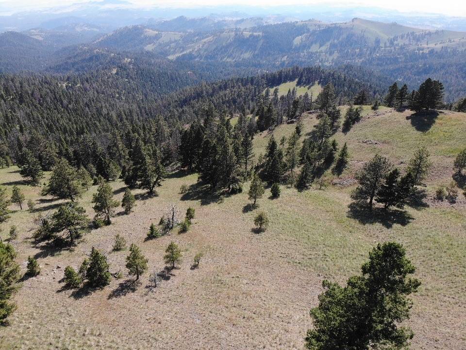 Cascade, MT 59421,TBD Outer Loop RD