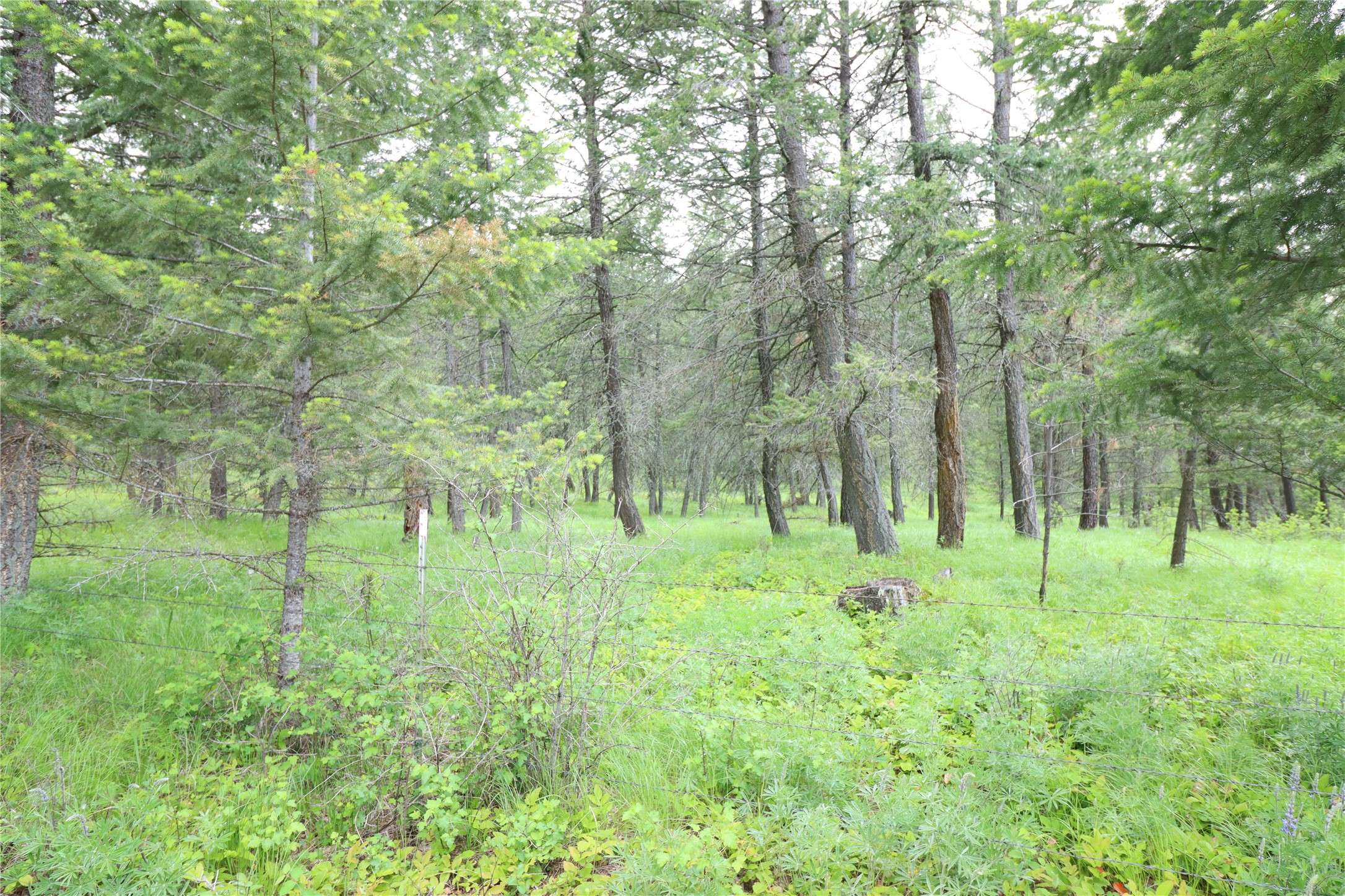 Rexford, MT 59930,Nhn Black Lake RD