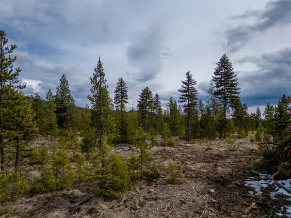 Libby, MT 59923,Lot 10 ACM RD N