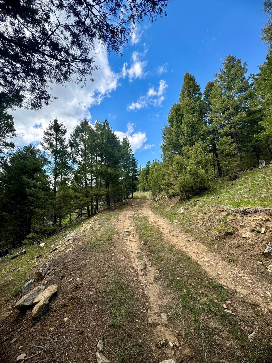 Anaconda, MT 59711,NHN Perkins Gulch RD