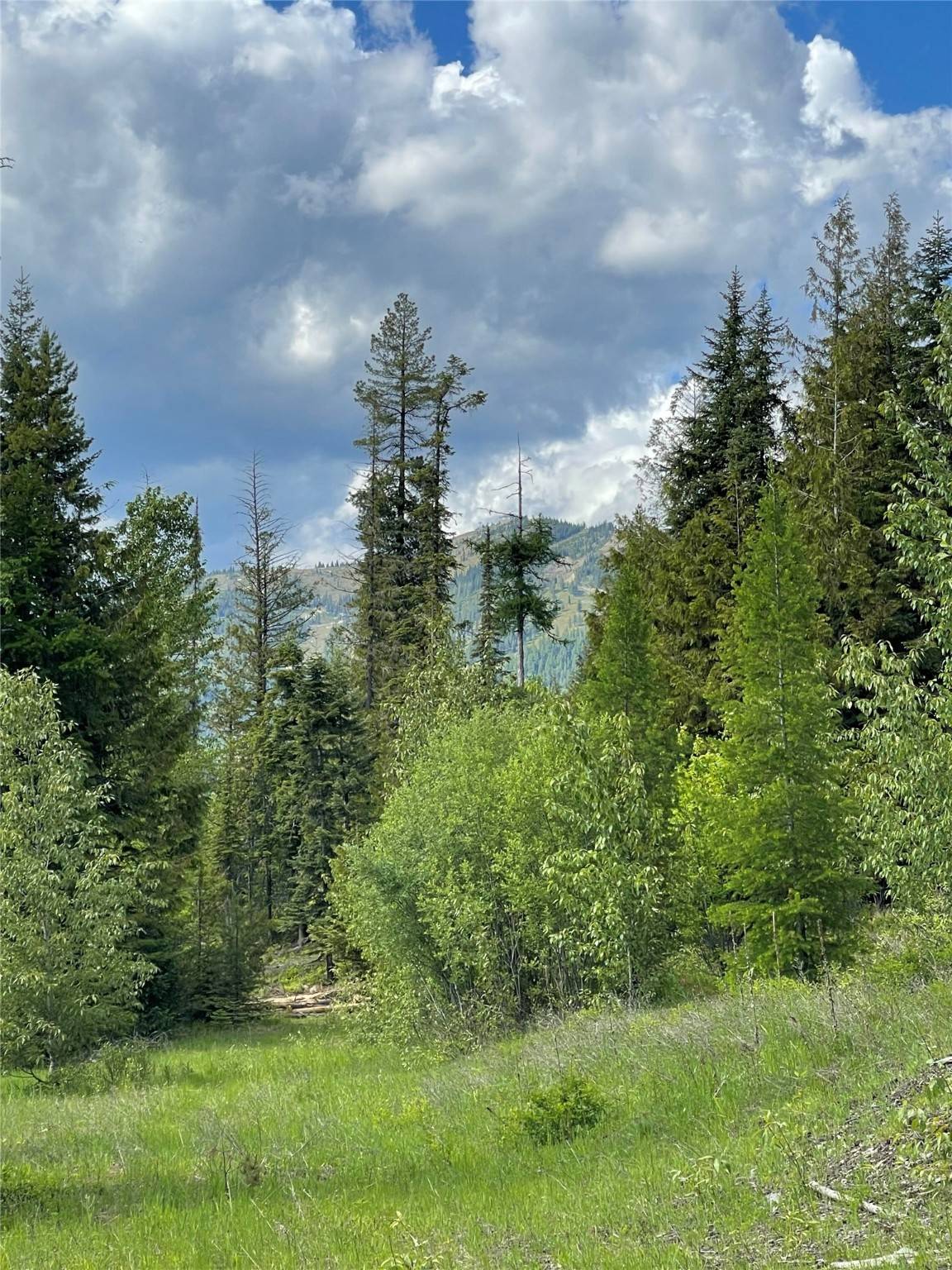 Whitefish, MT 59937,191 Woodlandstar CIR