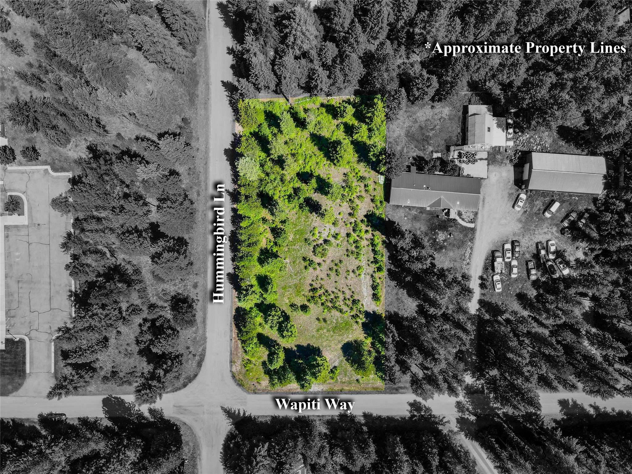 Troy, MT 59935,201 Wapiti WAY