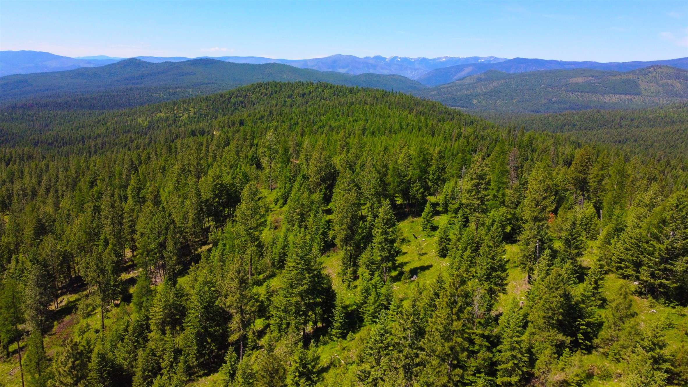 Nhn Corona Rd Ranch, Plains, MT 59859
