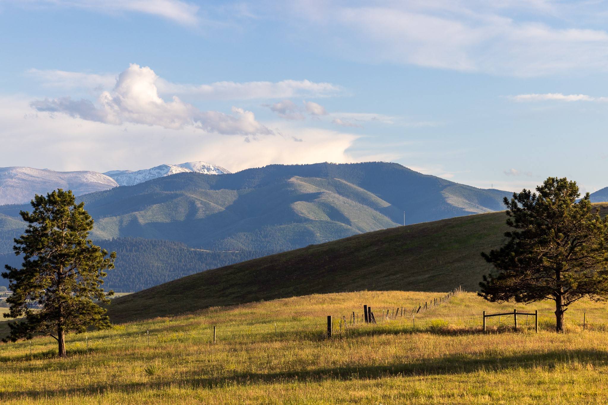 Missoula, MT 59808,8925 LaValle Creek RD