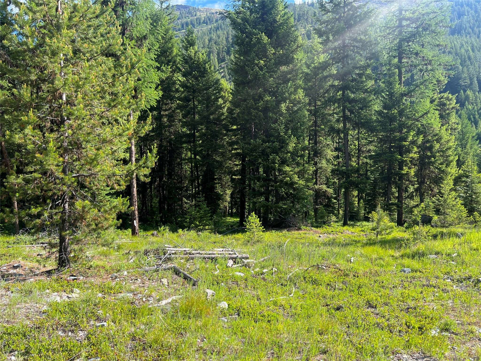 Libby, MT 59923,TBD E Fisher River RD
