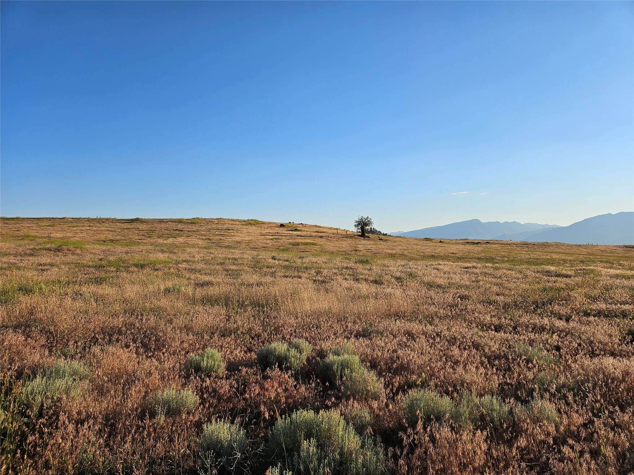 Corvallis, MT 59828,Tract C Hamilton Heights RD