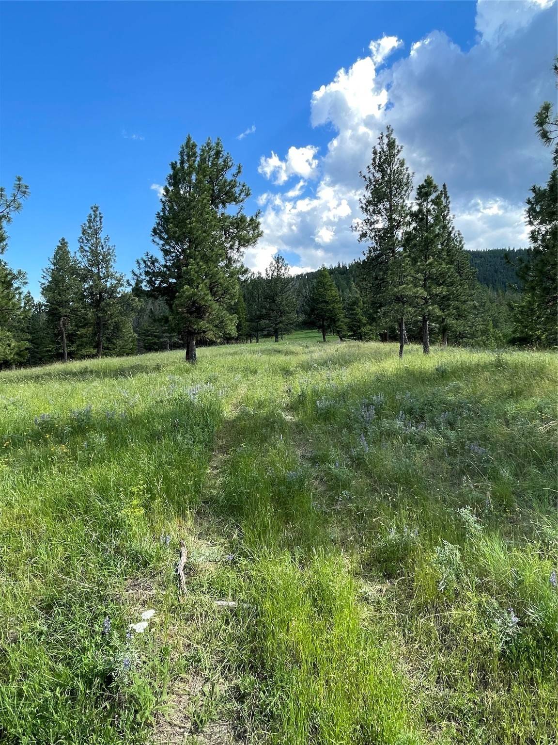 Missoula, MT 59804,2444 Morning Dun Road RD