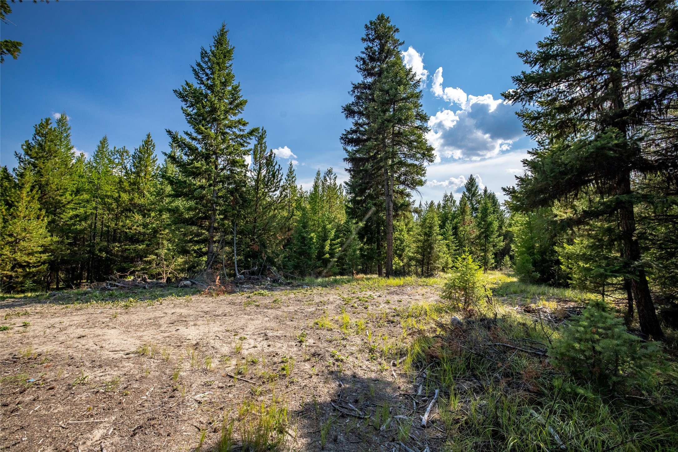 Marion, MT 59925,3096 Steel Mountain TRL