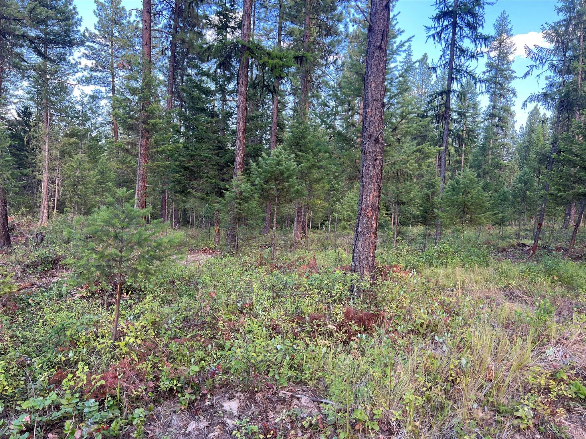 Libby, MT 59923,TBD Granite Lake RD #8