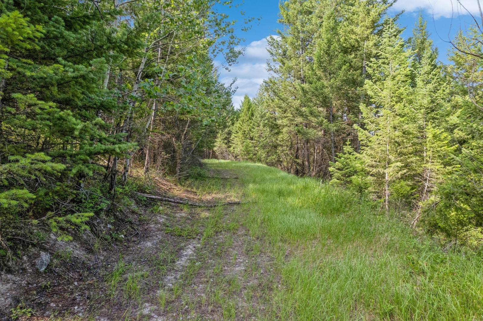 NHN Haywire Gulch, Kalispell, MT 59901