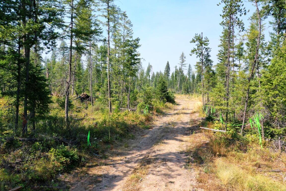 Columbia Falls, MT 59912,191 Stones Throw LN