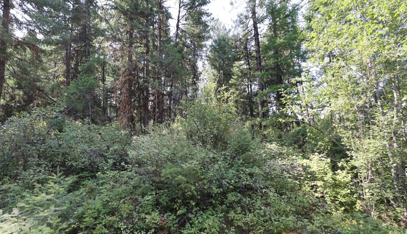 Plains, MT 59859,NHN Tract 1C E Fork Combest Creek RD