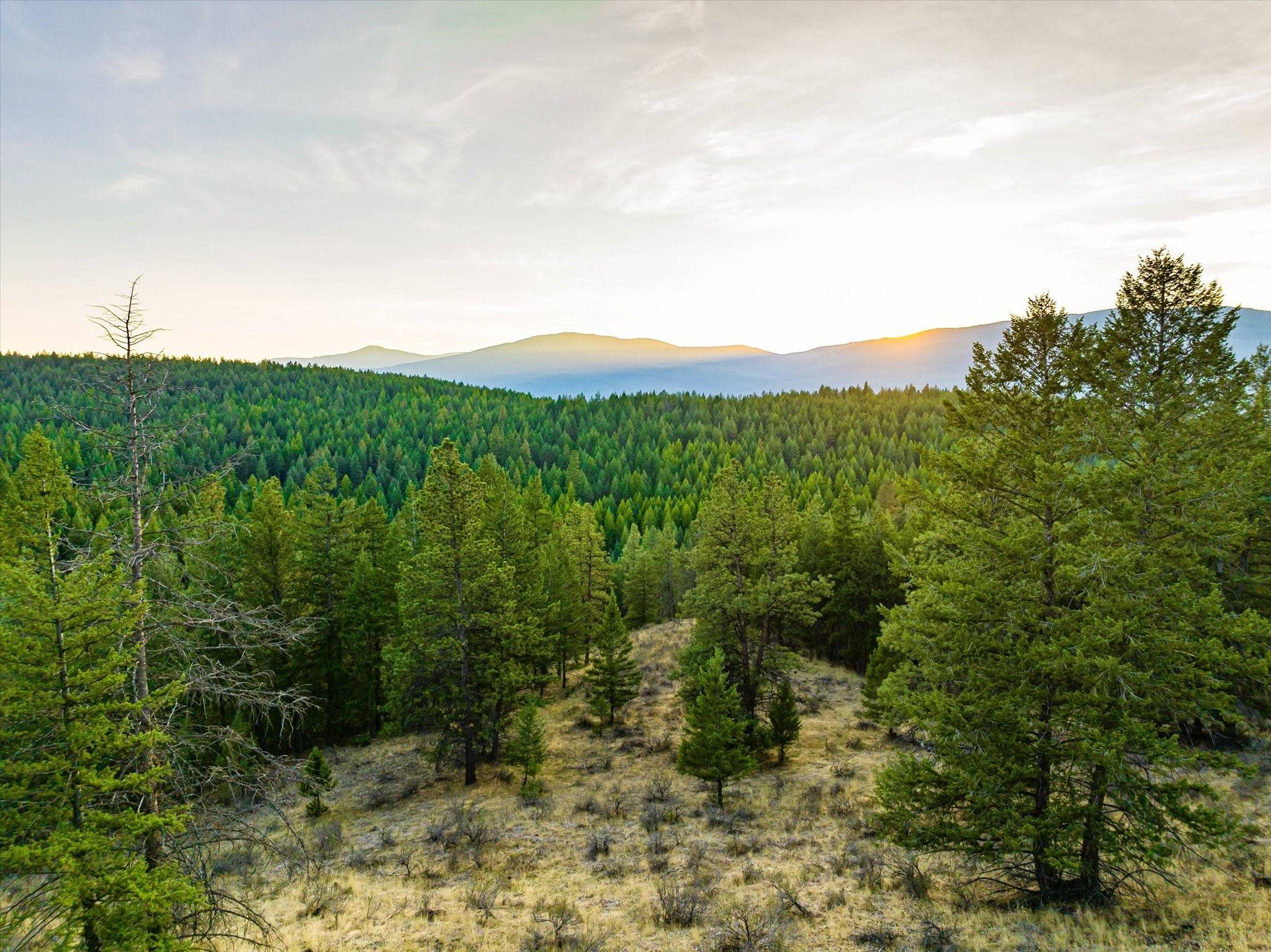 Rexford, MT 59930,NHN Black Lake RD