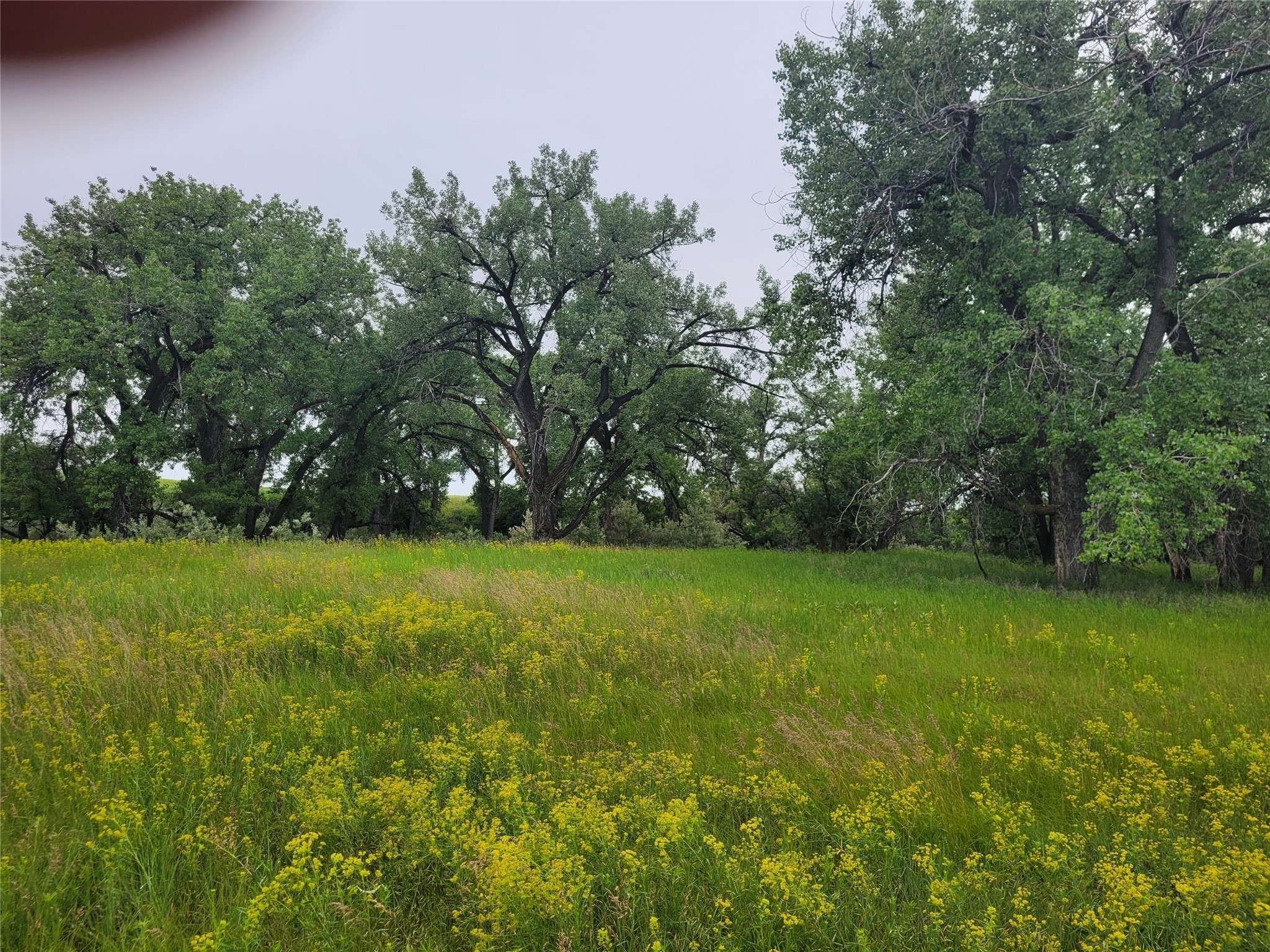 Great Falls, MT 59405,Lot 35 Russell Ranch LN