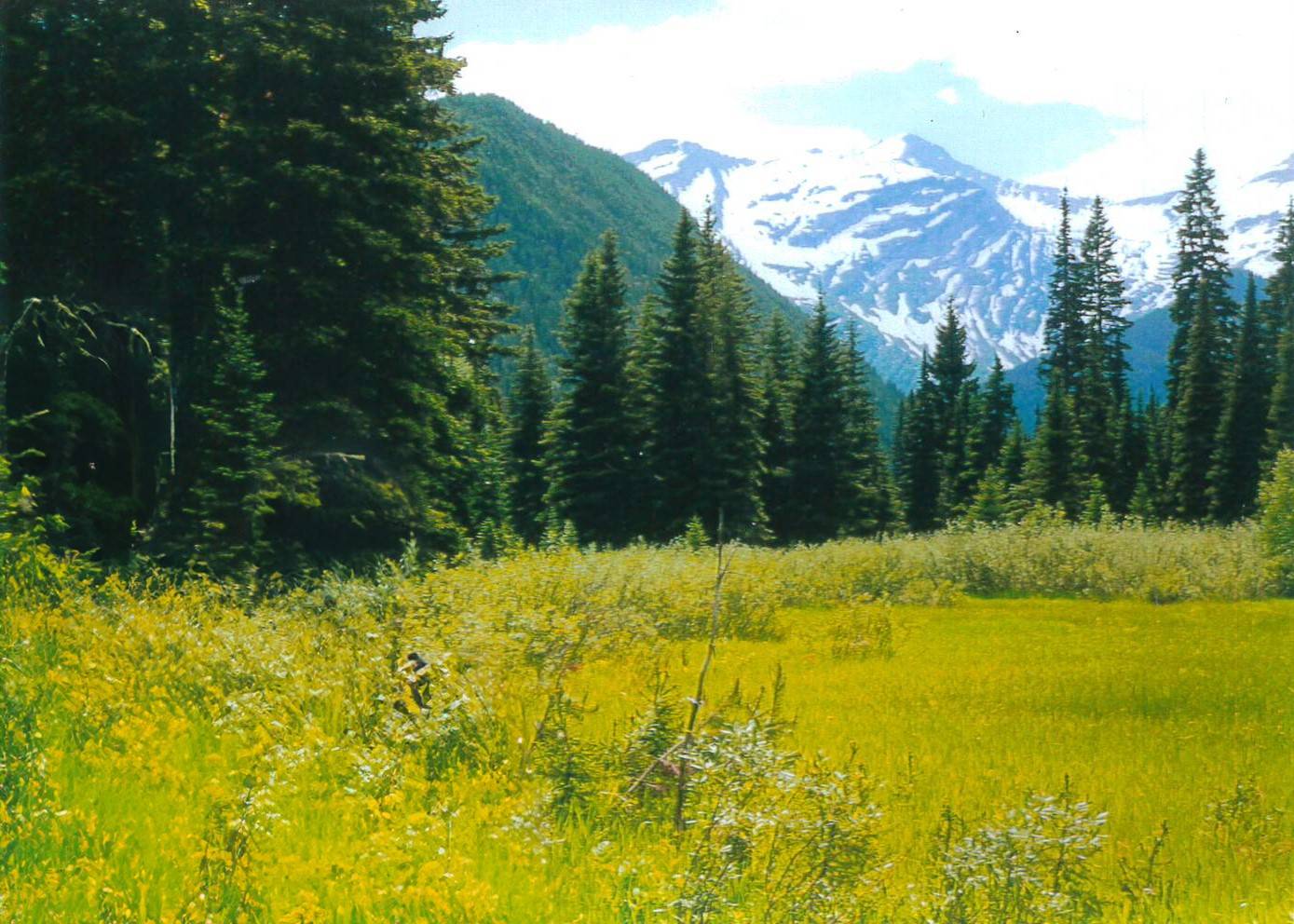Essex, MT 59916,14265 US Highway 2 E