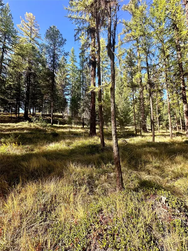 Marion, MT 59925,000 Bhong LN