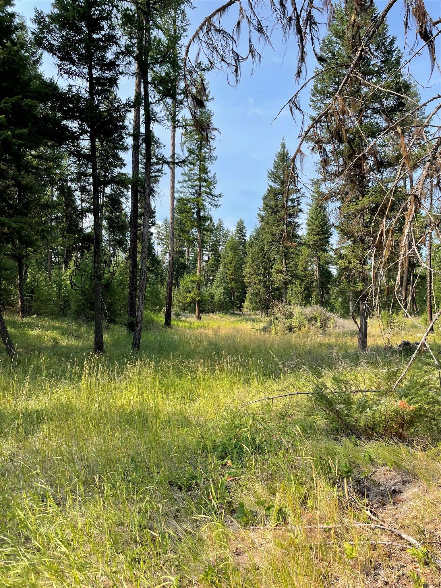 Whitefish, MT 59937,1062 Brady WAY W