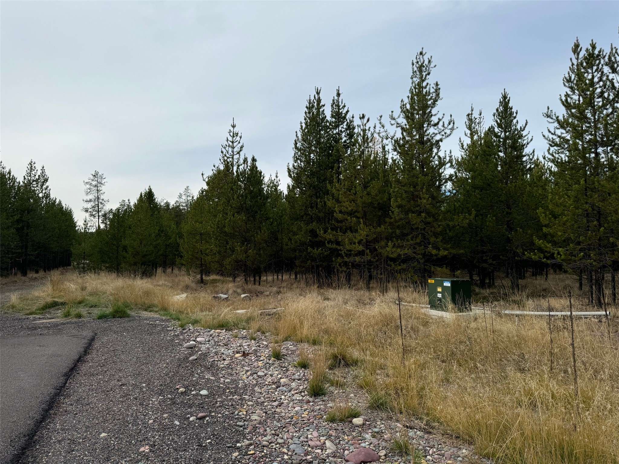 Marion, MT 59925,TBD Red Baron LN