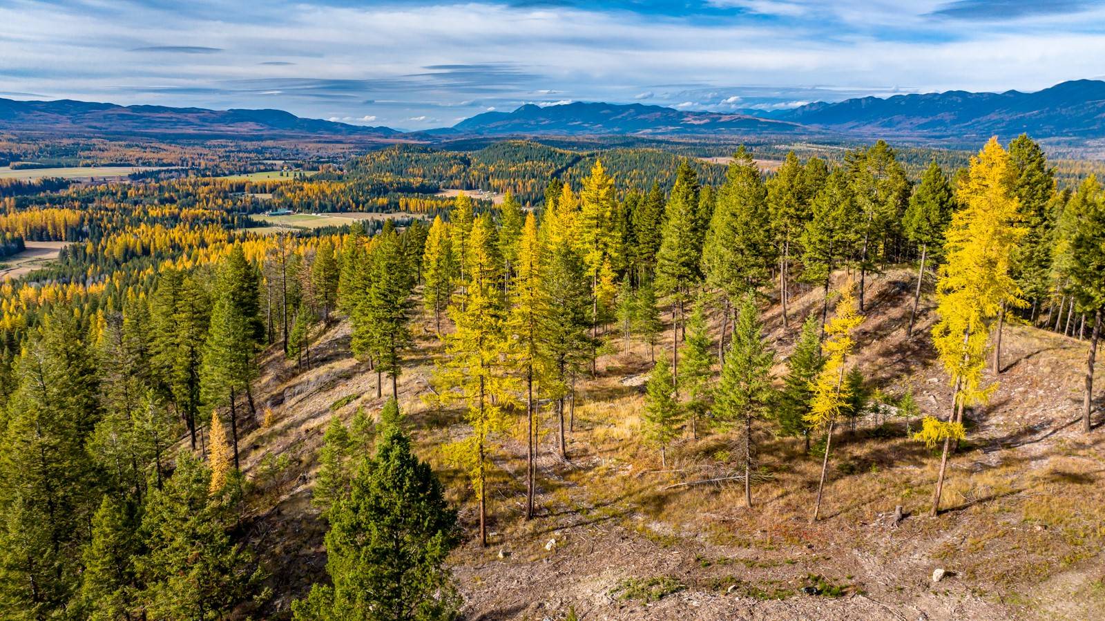 93 Northridge CT, Whitefish, MT 59937