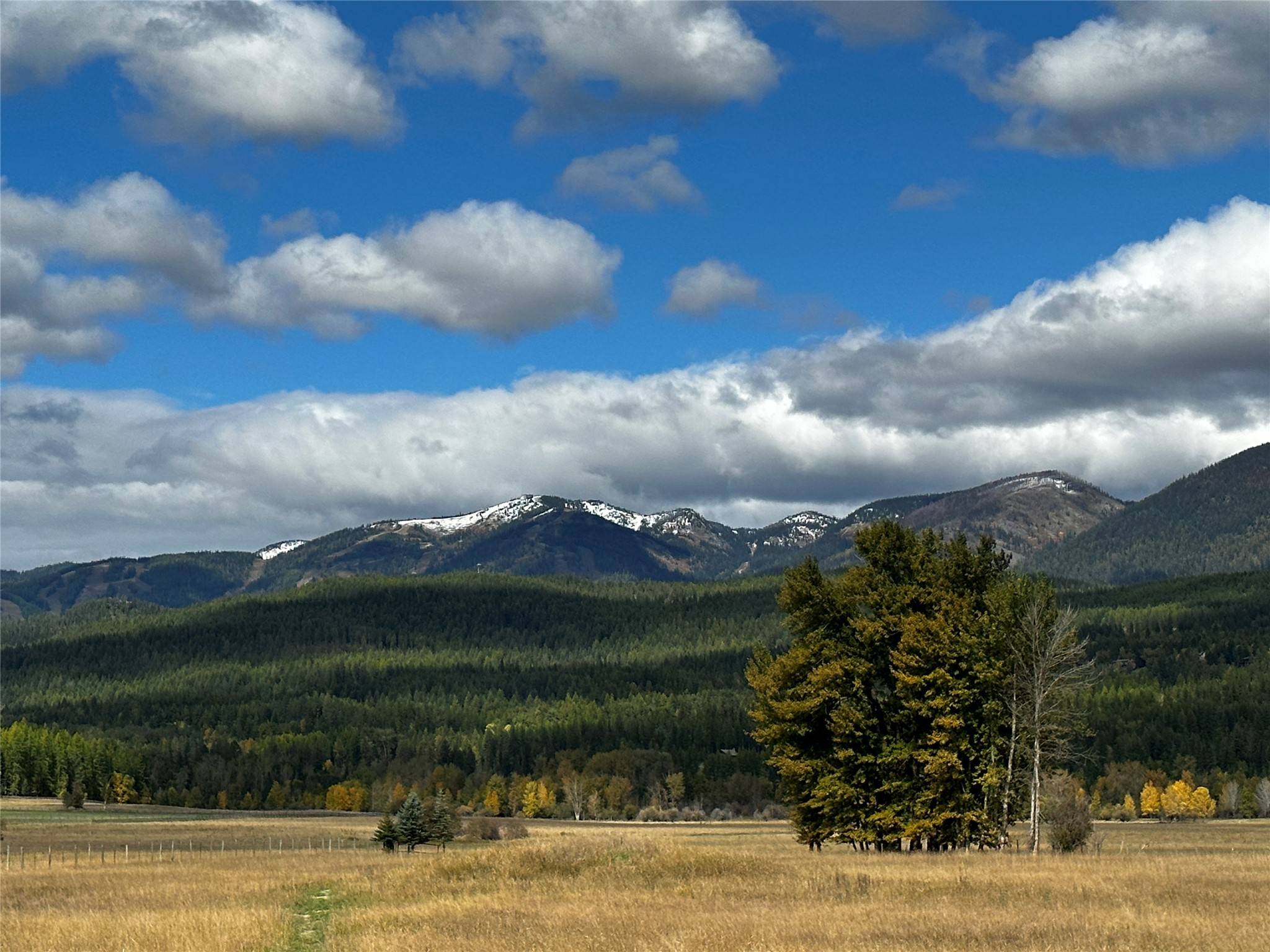 Whitefish, MT 59937,NHN E Edgewood DR
