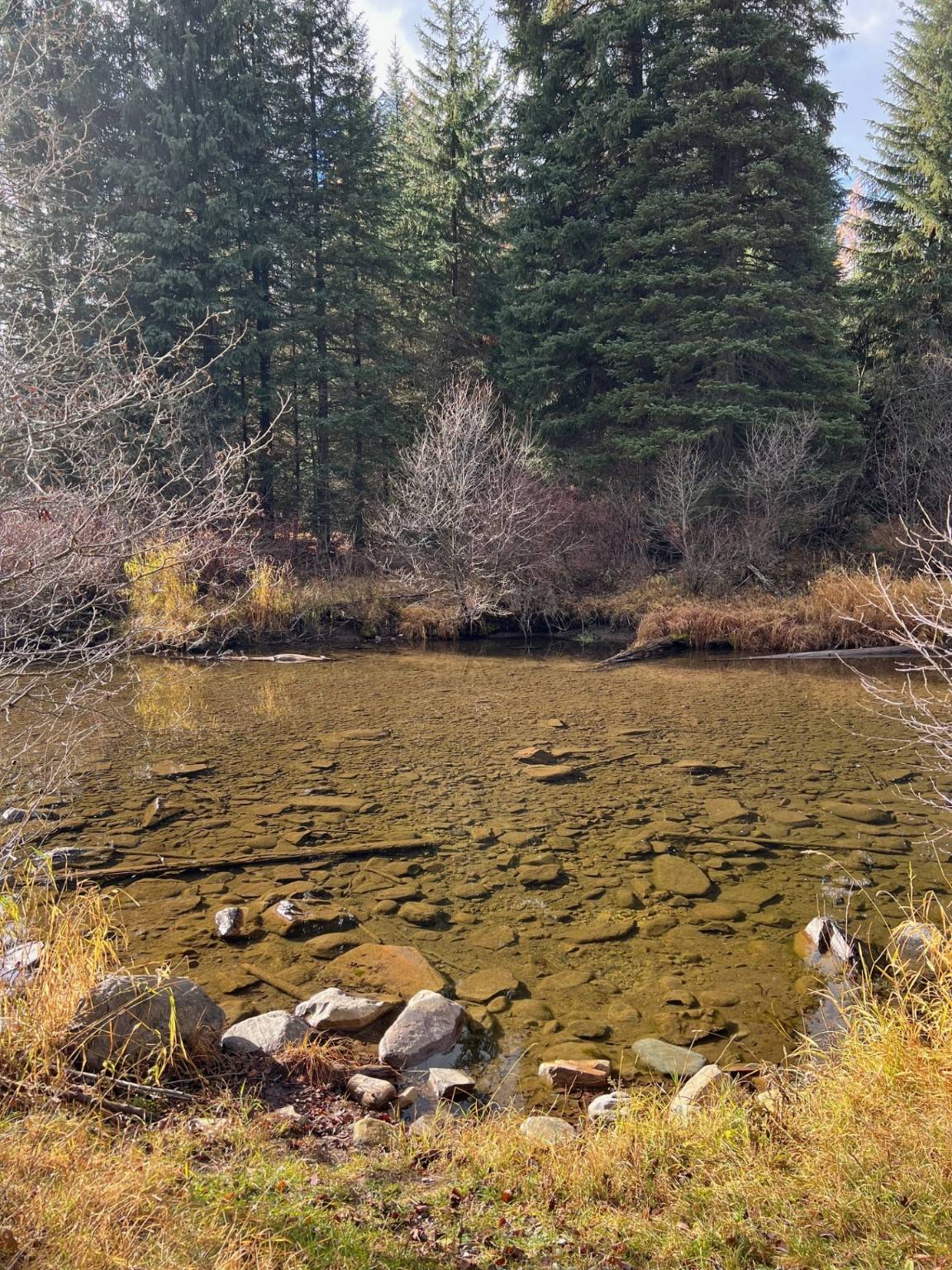 Yaak, MT 59935,NHN Upper Ford RD