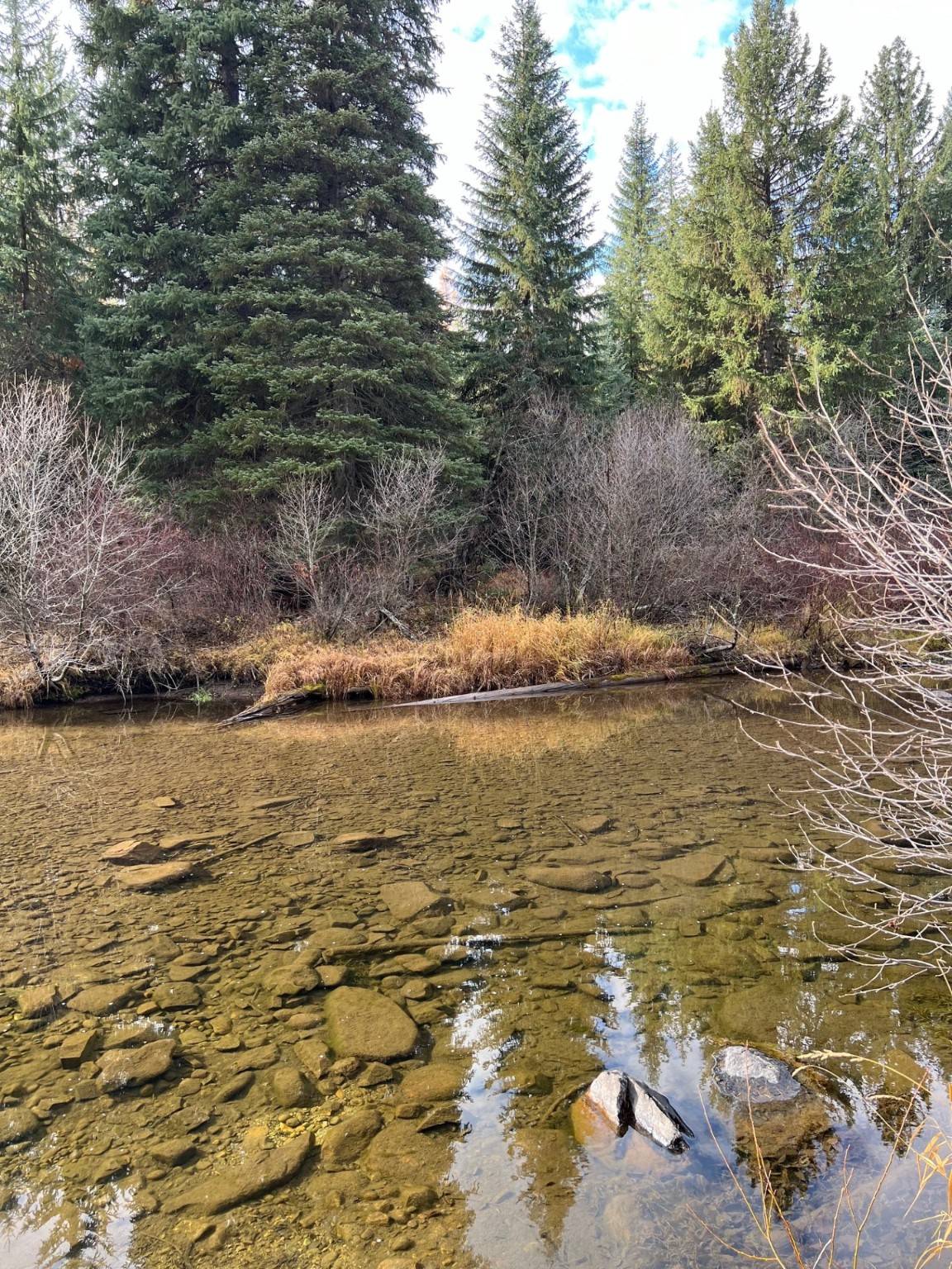 NHN Upper Ford RD, Yaak, MT 59935