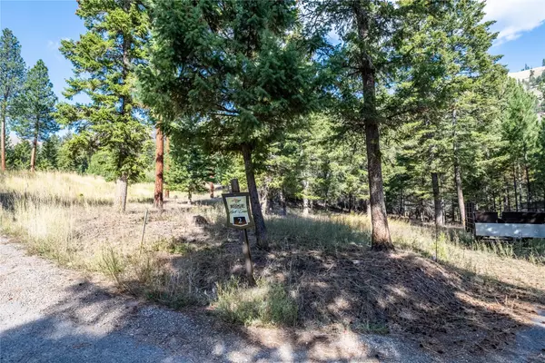 Clinton, MT 59825,Lot 2 Caddisfly CT