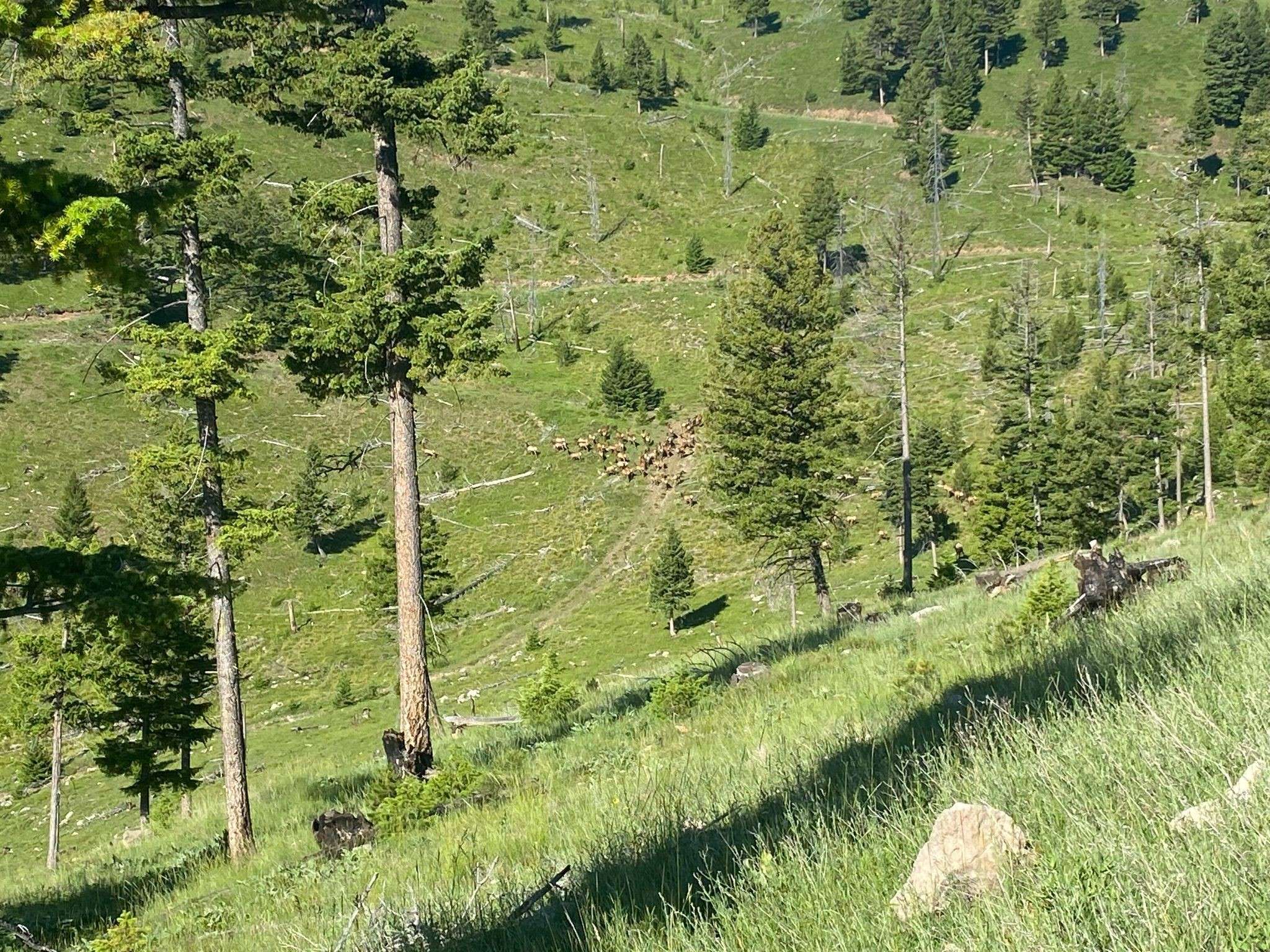 216 Cramer Springs TRL, Clinton, MT 59825