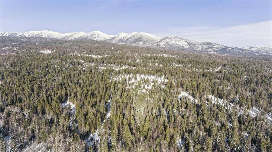 635 Kaeding Creek RD, Whitefish, MT 59937