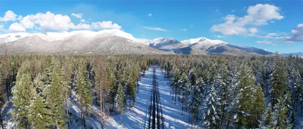 NHN Snowy Owl LN, Bigfork, MT 59911