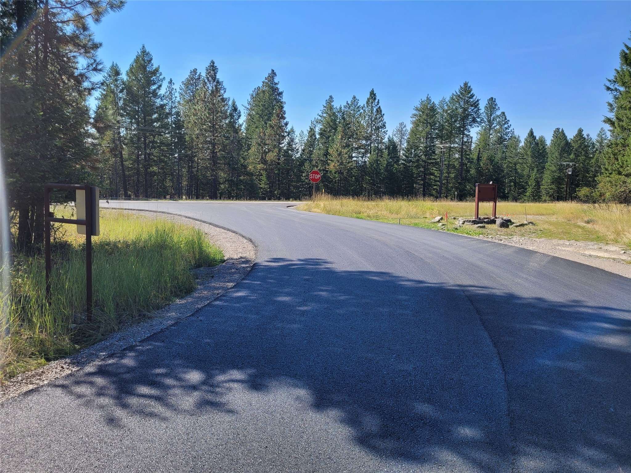 Bigfork, MT 59911,7 Snowy Owl LN