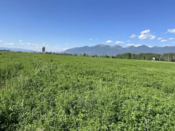 Kalispell, MT 59901,Tract 4 Sonstelie RD
