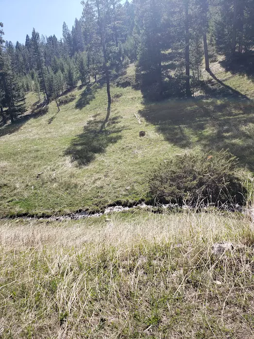 White Sulphur Springs, MT 59645,TBD Cyclone MS #3792