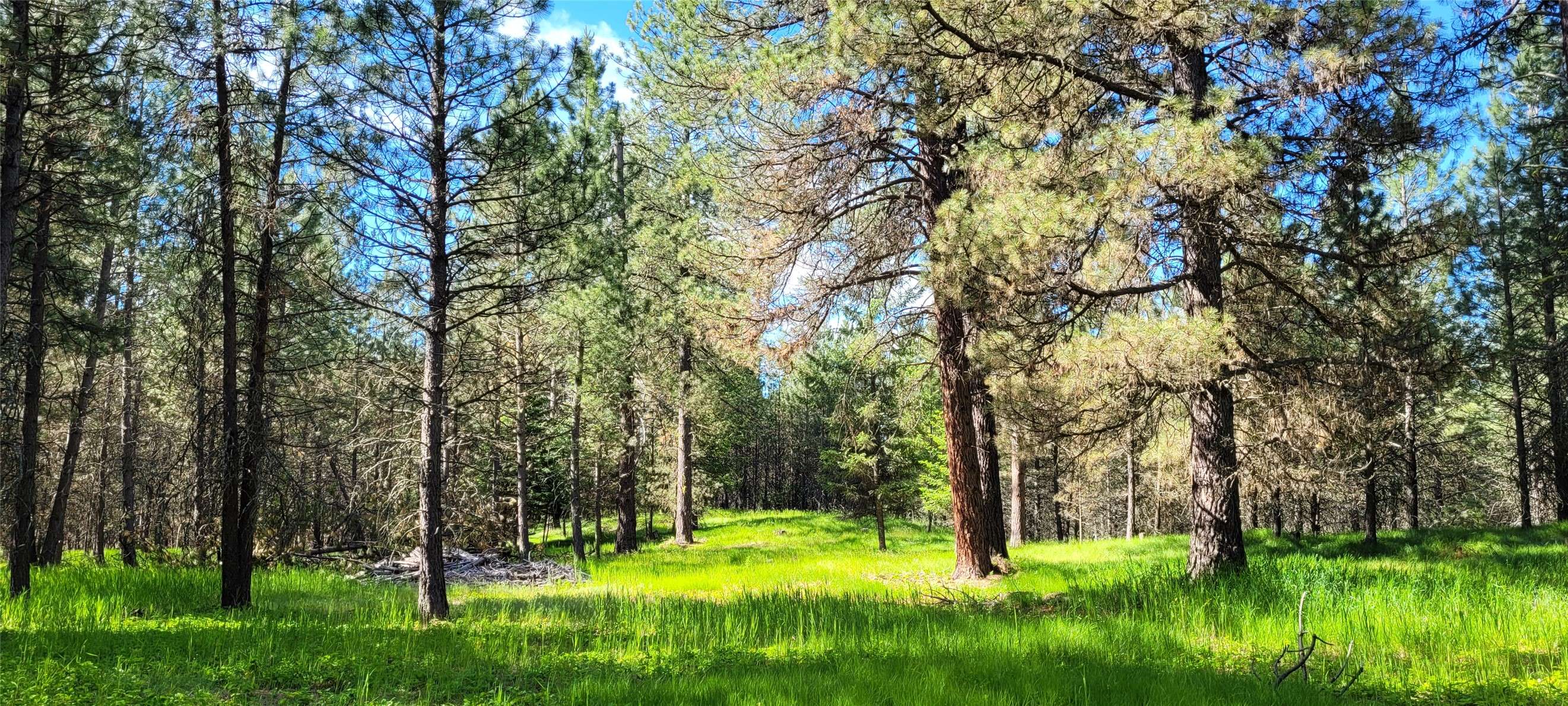 131 Break RD, Libby, MT 59923