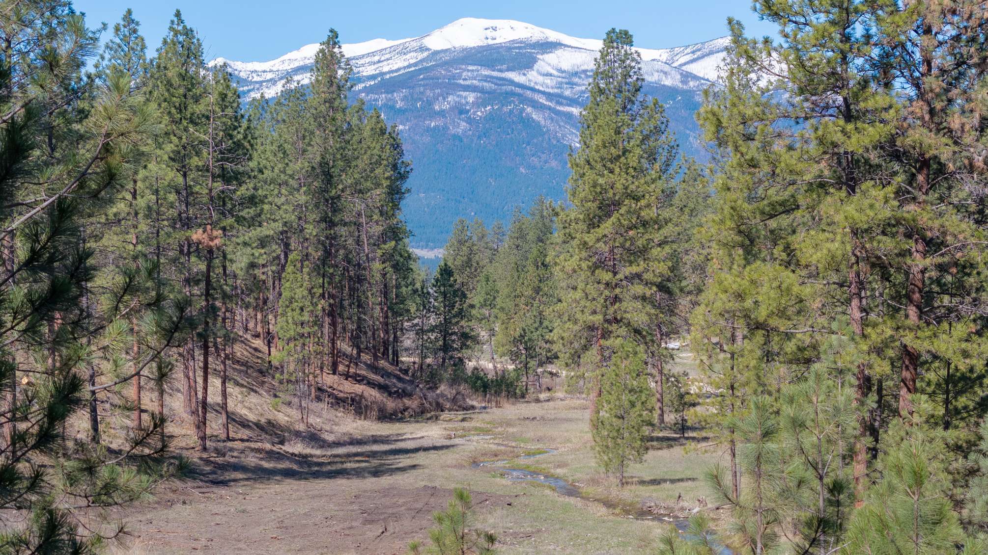 Stevensville, MT 59870,419 Treece Gulch RD