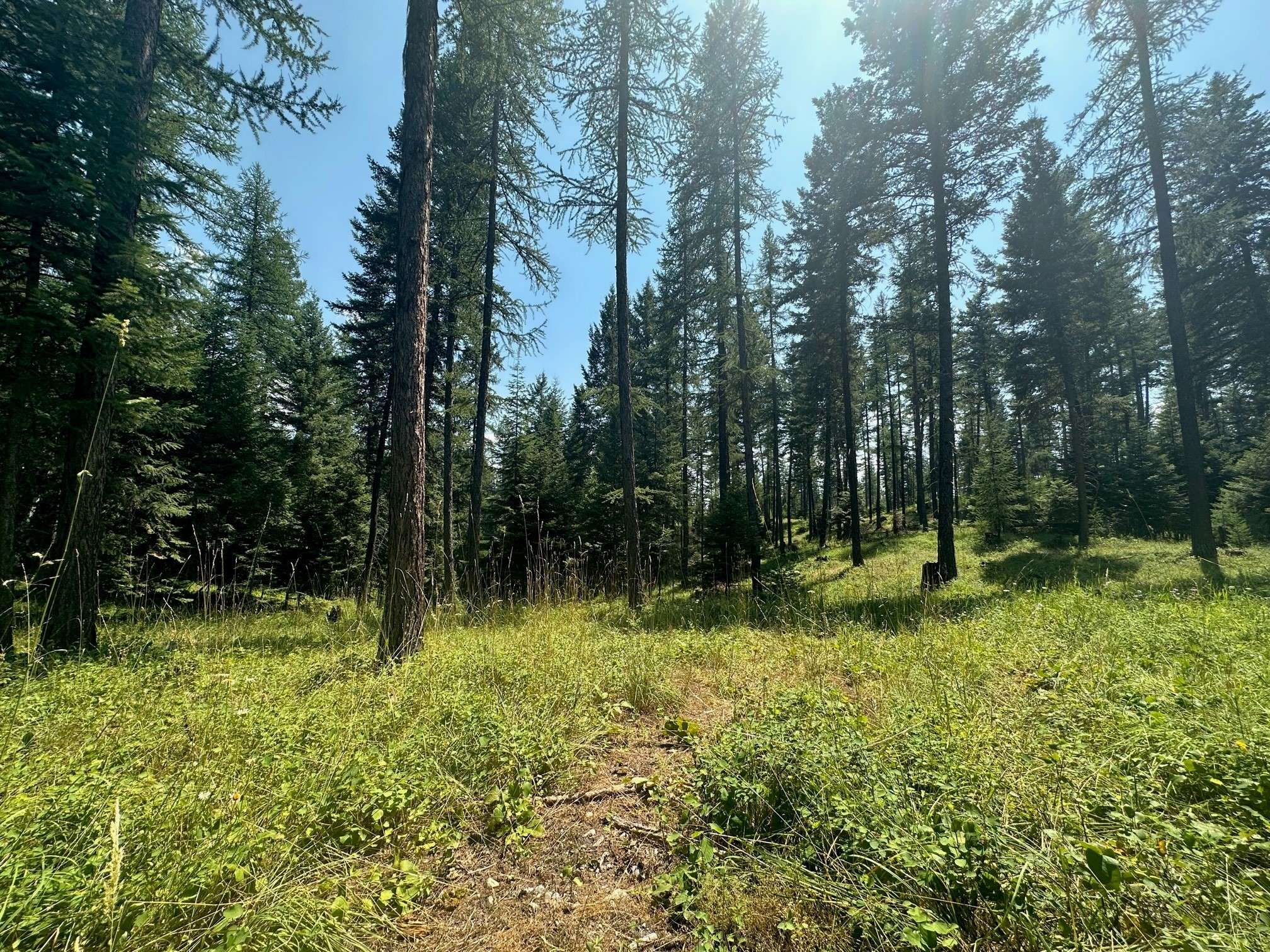 Kalispell, MT 59901,Lot 2 The Crossings at Bachelor Grade