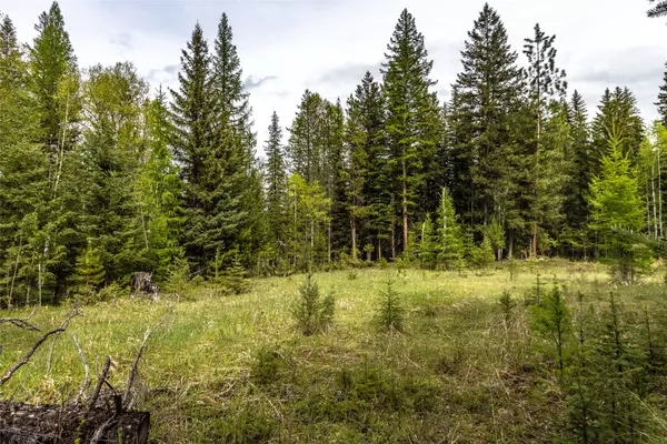 37 Soaring Eagle TRL, Fortine, MT 59918